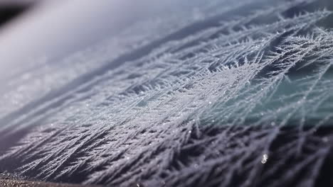 intricate frost patterns on a window