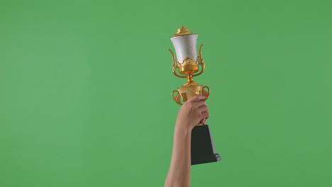 raised hands of a woman are holding a trophy. green screen background