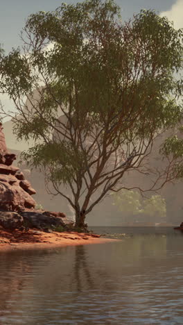 un albero che cresce sul bordo di un lago in un canyon del deserto