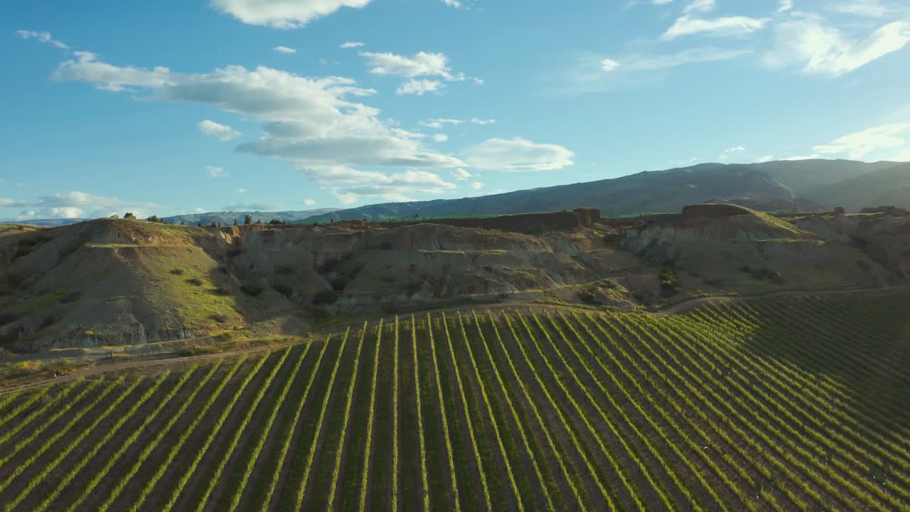 aerial revelando la escala de los viñedos en el centro de otago con un cielo azul y nubes blancas esponjosas