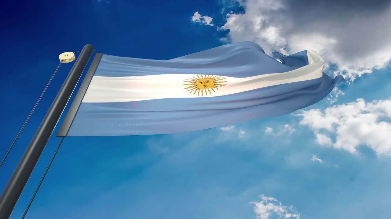 agitando la bandera de la argentina