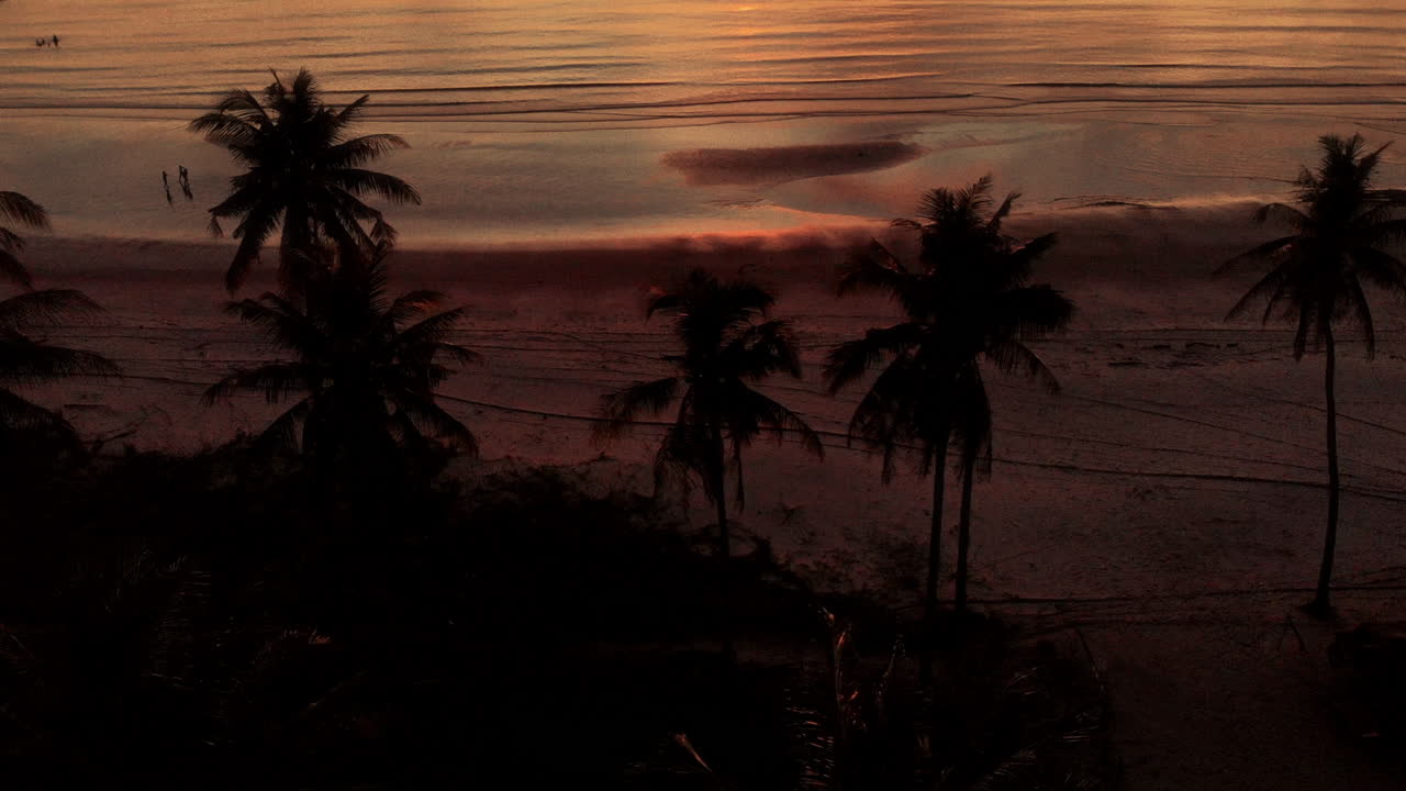 escena de la playa al atardecer con palmeras