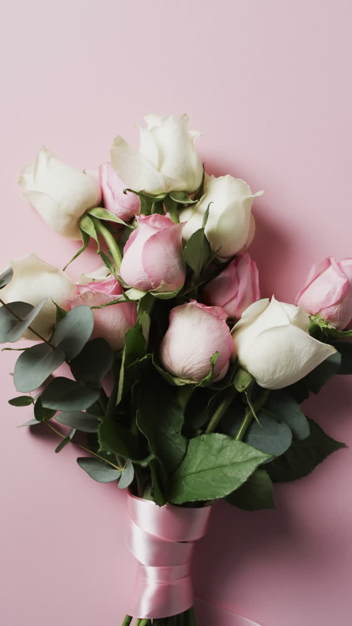 Vvertical video of bunch of white and pink roses with copy space on pink background