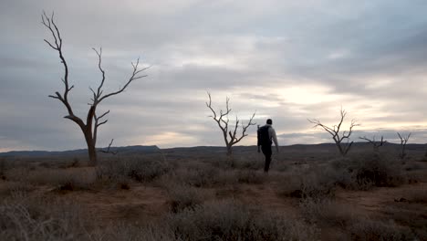 Low-Angle-Aufnahme,-Mann-Mit-Rucksack-Läuft-Durch-Dramatische-Landschaft,-Bewölkter-Himmel,-Outback