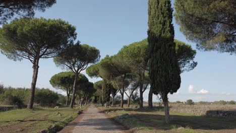 Un-Paseo-Solitario-Por-La-Vía-Apia-En-La-Campiña-Romana-En-Un-Día-Soleado