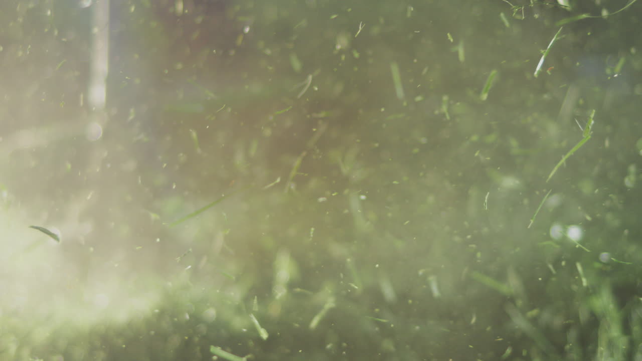 el césped volador de un cortador de césped