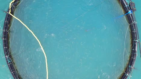 aerial footage farm salmon fishing in norway