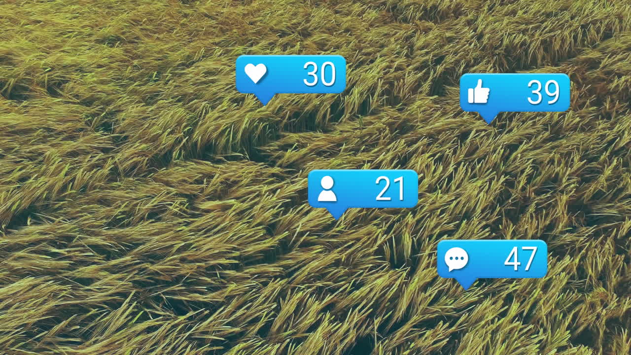 Social media notification icons floating above bending golden grass blades, in flat design style