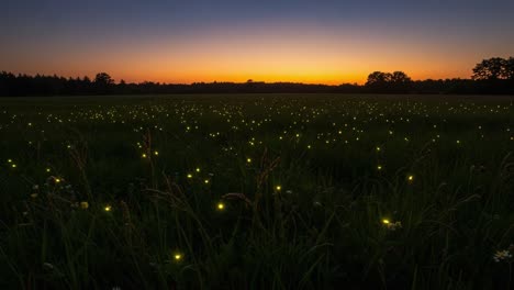 a magical twilight scene showcasing a vibrant field filled with glowing fireflies as the sun sets, creating a breathtaking natural landscape experience