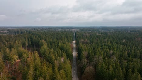 Idyllic-trip-by-car-through-an-idyllic-forest