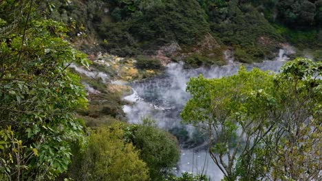 Scenic-landscape-view-of-clouds-of-misty-steam-rising-from-sulphuric-hot-spring-surrounded-by-NZ-native-plants-and-trees