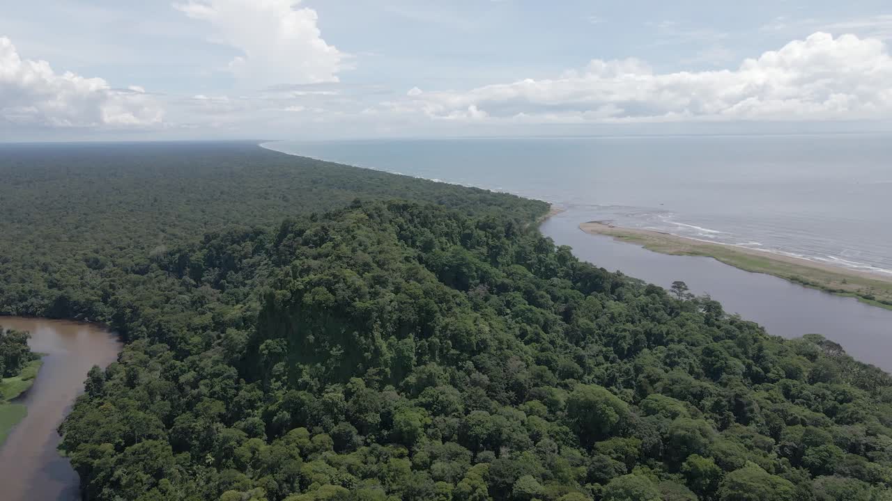 Aerial View of Lush Rainforest Coastline
