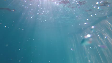 bubbles rising to the surface underwater in slow motion.