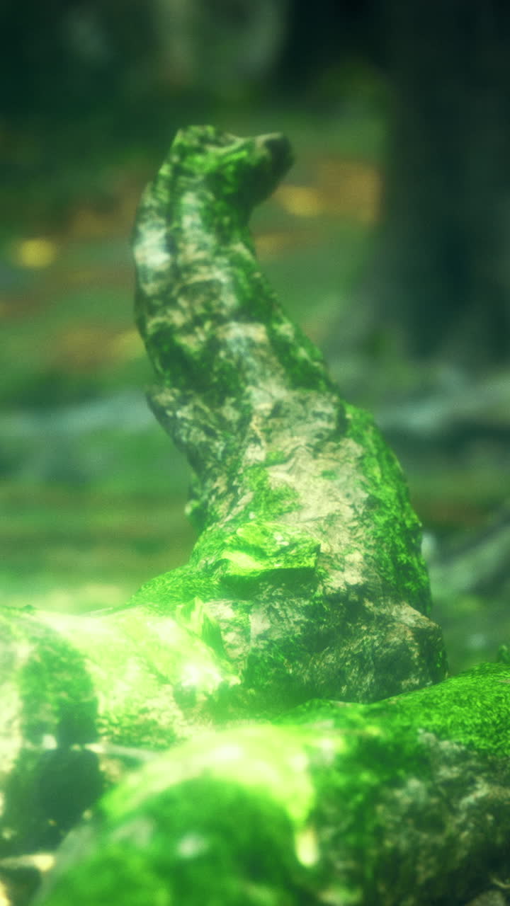 Mossy logs create a tranquil atmosphere in a vibrant forest landscape