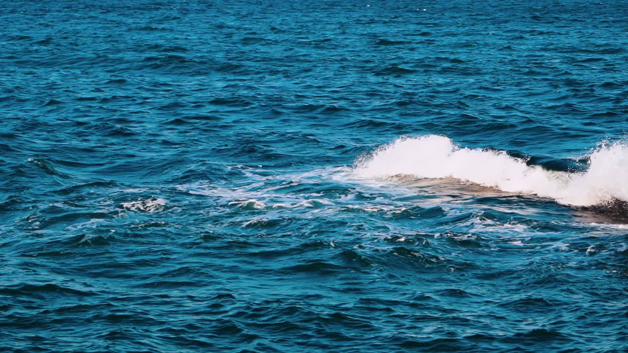 Sea wave close up. Close up of blue sea surface with waves