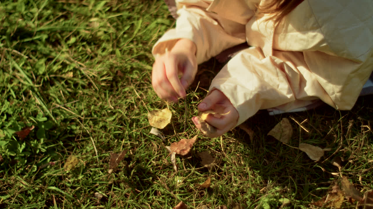 Child picking leaves in autumn