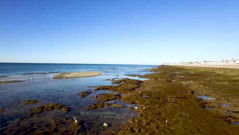 Aerial-flyover-the-exposed-tide-pools-and-lichen-cover-rocks-where-white-egrets-search-for-food