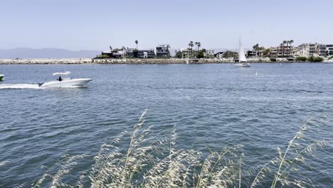 Vista-De-Barcos-Navegando-En-El-Agua,-Casas-Al-Fondo,-Plantas-En-Primer-Plano