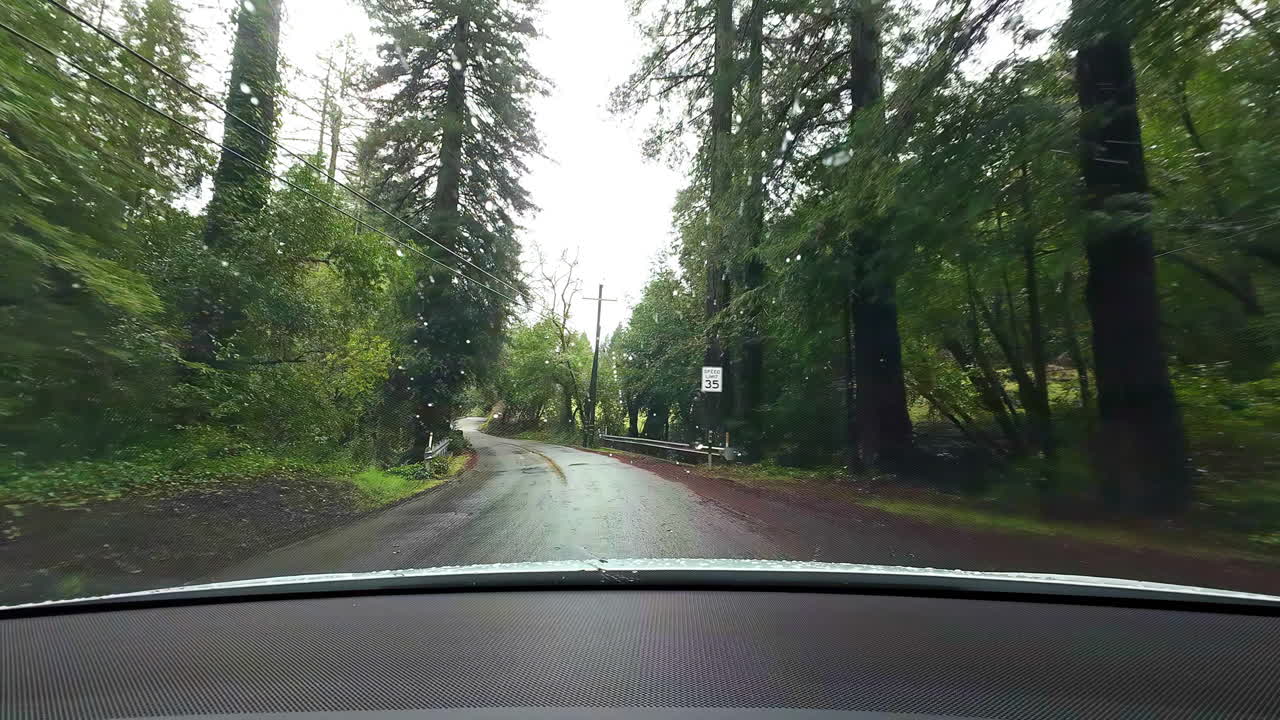Grandangolo dal parabrezza di guida attraverso il Parco Nazionale di Redwoods, giornata piovosa nella California del Nord.