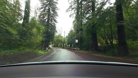 windshield wide angle of driving through redwoods national park, rainy day in north california