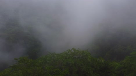 Flight-through-the-clouds-in-the-Minca-jungle-on-a-mountain-in-Colombia,-aerial