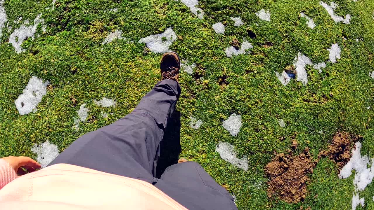 Walking on a Grassy Field with Patches of Snow
