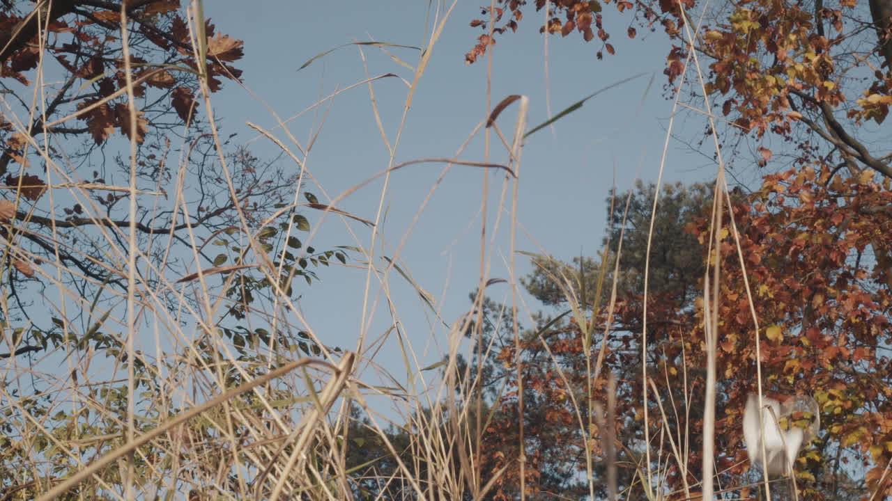얼굴 마스크를 던지는 커플, 사랑을 나누거나 바람을 피우는 재미있는 상징
