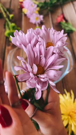 woman holding a bunch of purple daisies