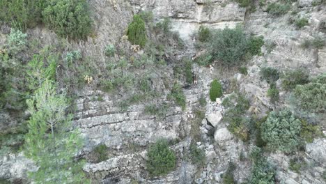 three young iberian ibex running acreoss a mountainous lansdcape in castellon, se spain