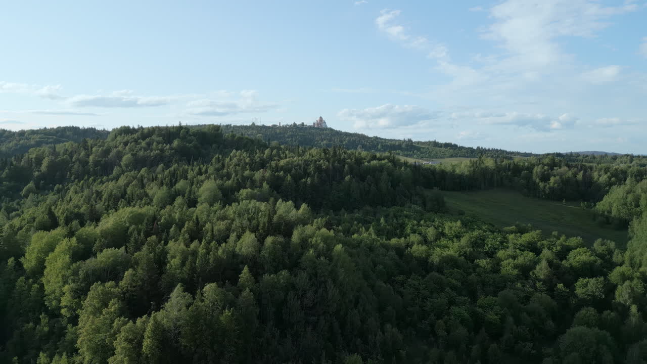 Forest Landscape with Church on Hilltop