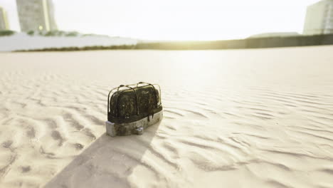 enjoying a peaceful moment at sunset with a suitcase on the sandy beach
