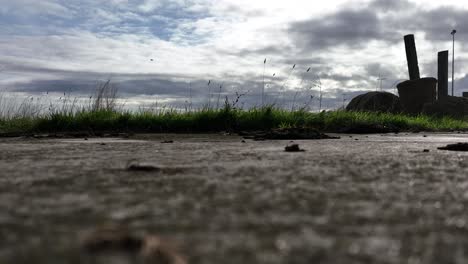 Low-angle-shot-of-ground-grass-sky-with-bird-flying-through