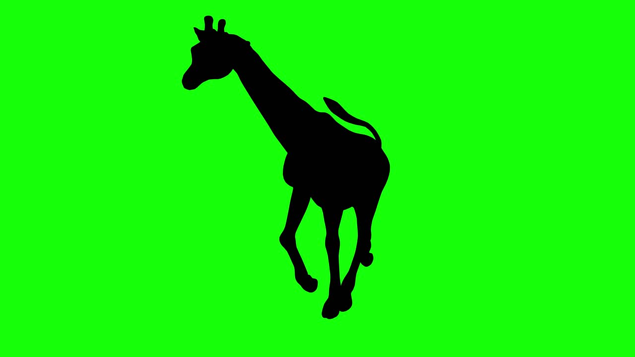 Uma silhueta de uma girafa correndo em tela verde, vista em perspectiva