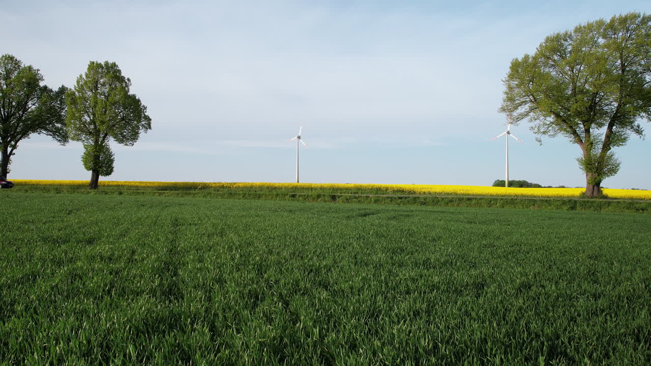 시골 에 타고 있는 견인 트럭 과 함께 하는 자동차