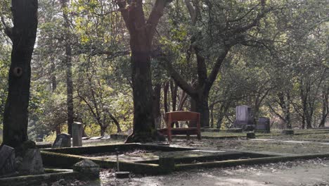 single wooden bench in the jacksonville cemetery in oregon - 4k