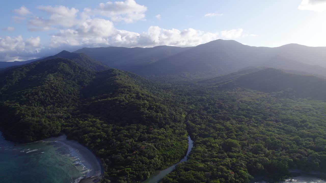abundante selva tropical del parque nacional daintree en cape tribulation, norte de queensland, australia
