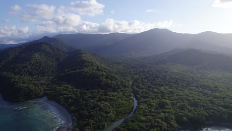 Abundant-Rainforest-Of-Daintree-National-Park-In-Cape-Tribulation,-North-Queensland,-Australia