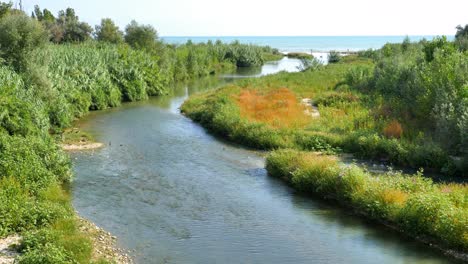 río con gran vegetación verde en los lados que desemboca en el mar