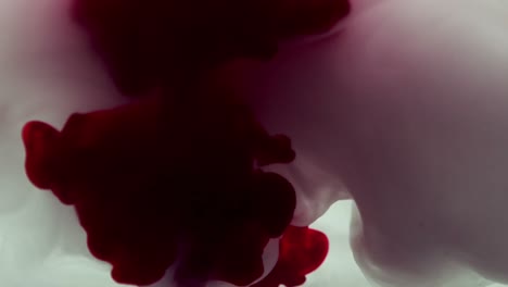 red and purple ink swirling in water