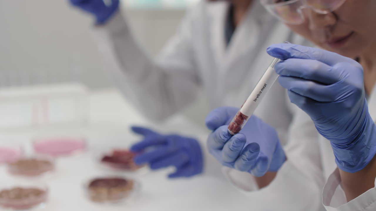 Scientists Examining Biological Samples in a Laboratory