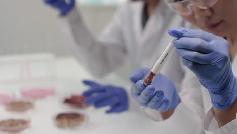 scientists examining biological samples in a laboratory