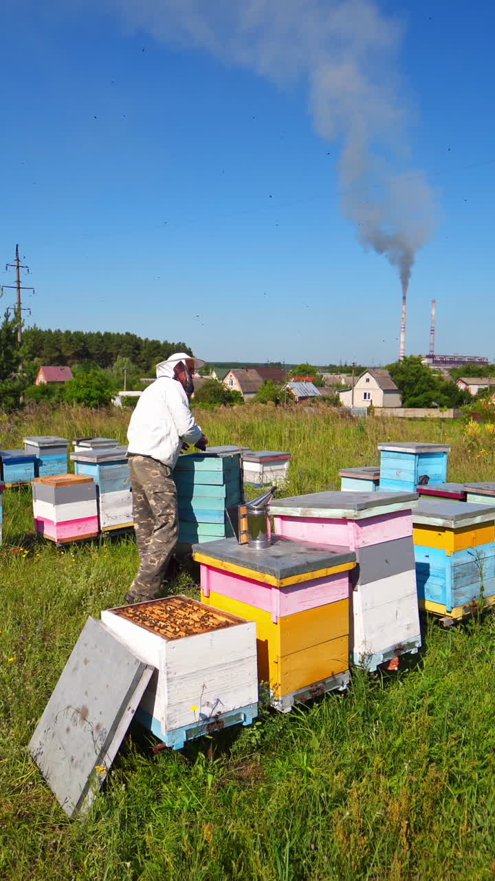 Apiarist near wooden beehives. Beekeeper works on apiary on the background of industrial pipes with smoke among nature. Beekeeping process in summer. Vertical video