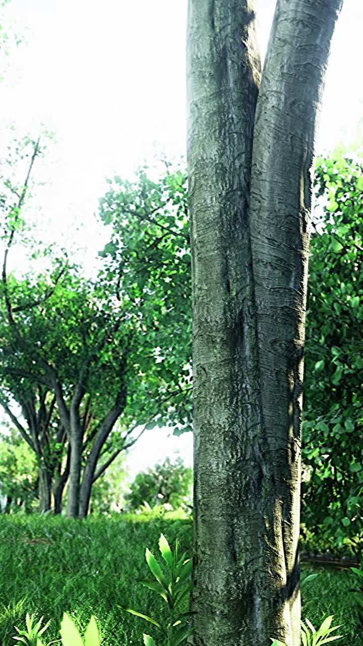 Lush green landscape with vibrant trees under a bright sunny sky