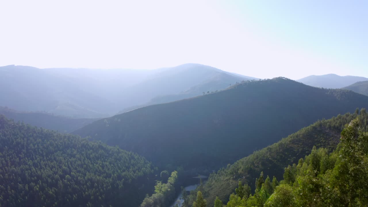 안개 낀 숲 위로 드론 촬영