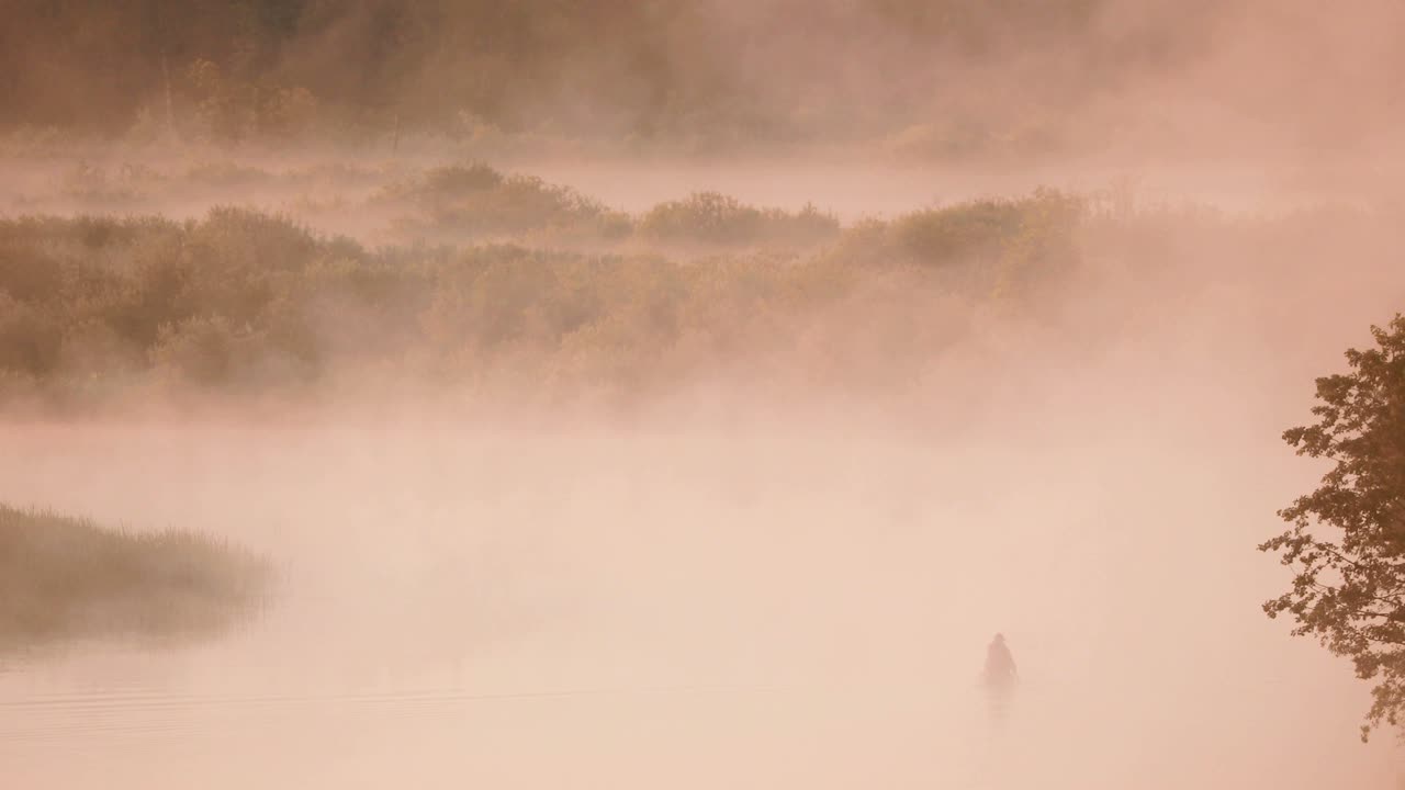 평온한 호수, 강, 그리고 은 나무 시 배에서 시하는 사람 여름 아침에 아름다운 안개가있는 일출. 시은 나무 배에 있습니다. 러시아 자연.