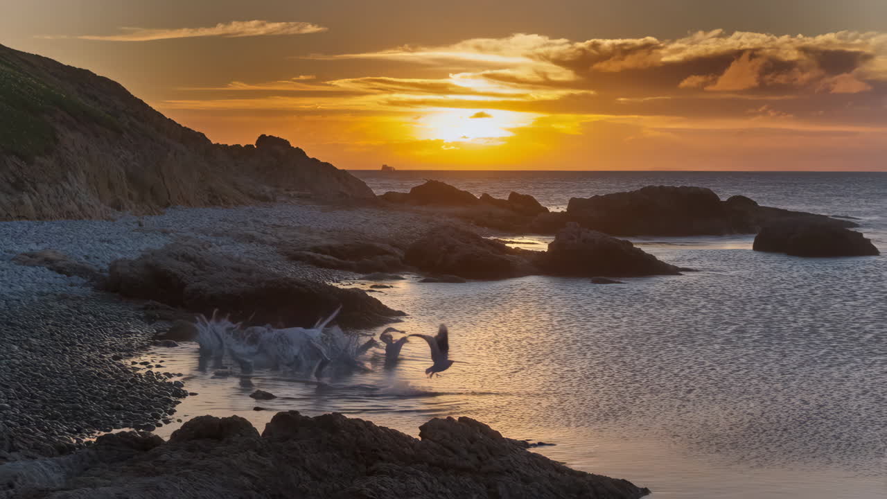 Golden Hour Flight of Seagulls on a Rocky Coast