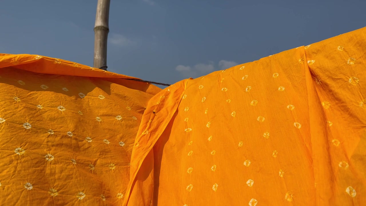 Hand-dyed fabric drying in the wind, fly walks on it. Madhabdi, Bangladesh.