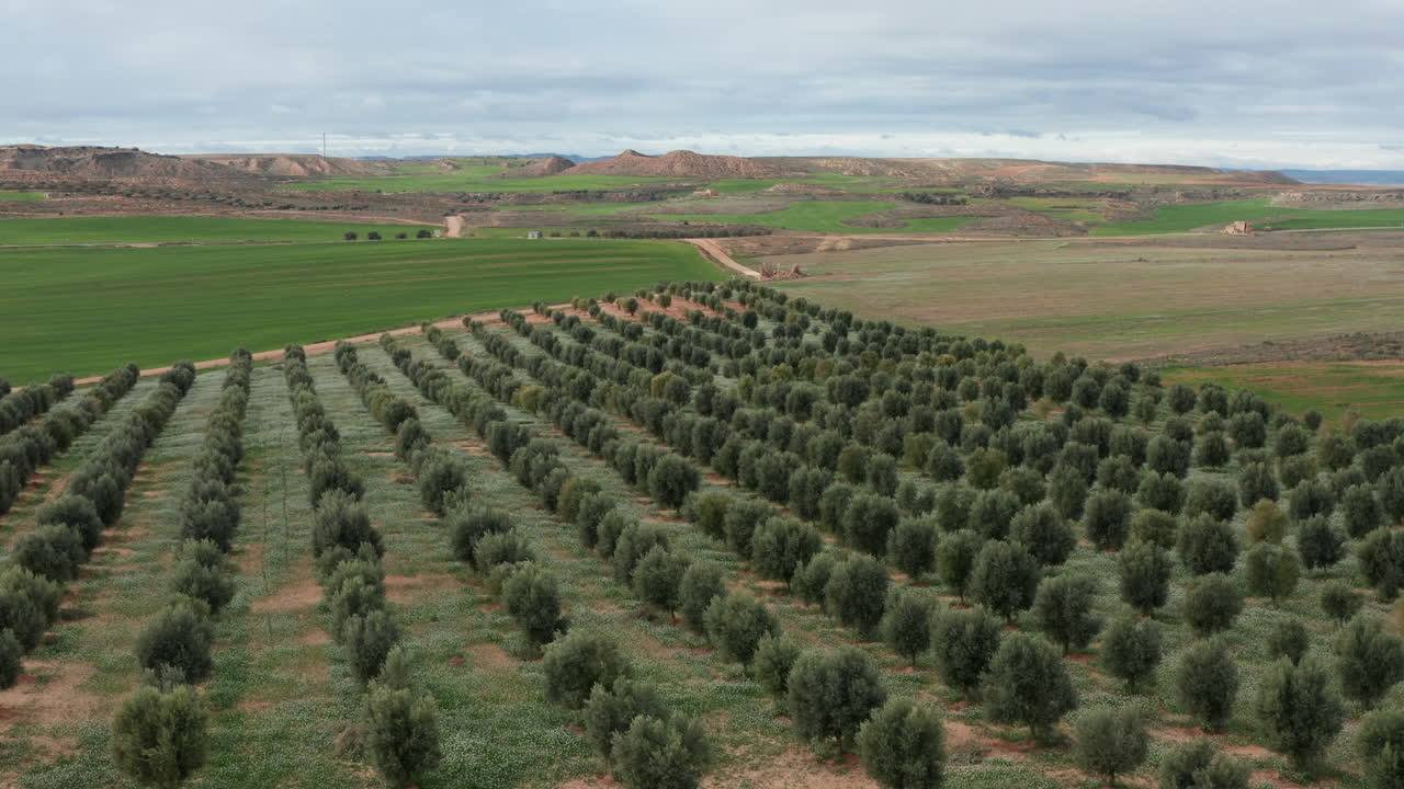 paisaje agrícola de españa olivos y campos verdes de españa fotografía aérea