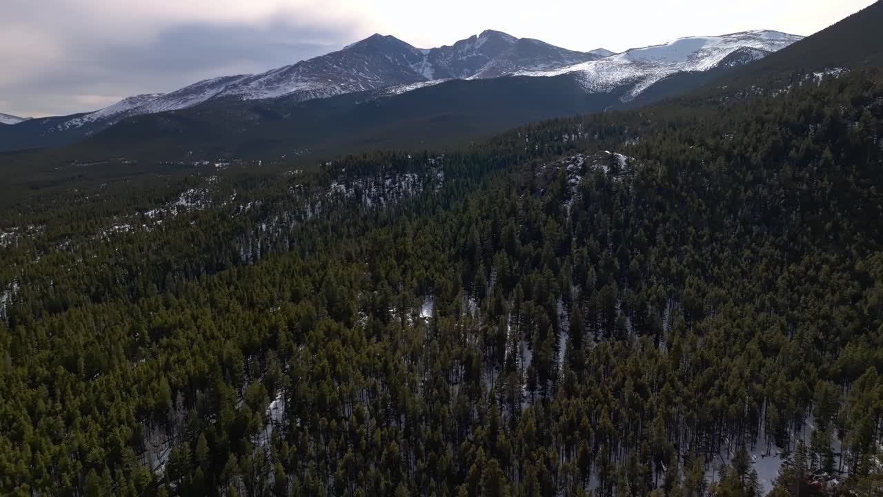 Rolling hills covered in trees lead toward distant snowy ridges under soft morning clouds, drone dolly, Allenspark Colorado USA