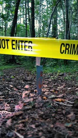 vertically filmed close up video of a bloody kitchen knife stabbed in a brown leaf covered hiking trail in a forest with a yellow coloreed crime scene police tape hanging above and in front of it